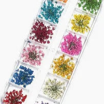 Fleurs séchées pour Décoration Ongles - 12 pièces